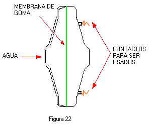 figura22.jpg (11614 bytes)